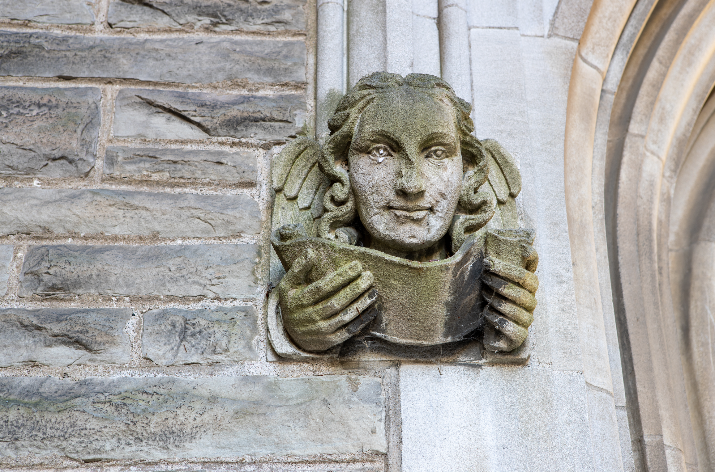 McMaster Arch