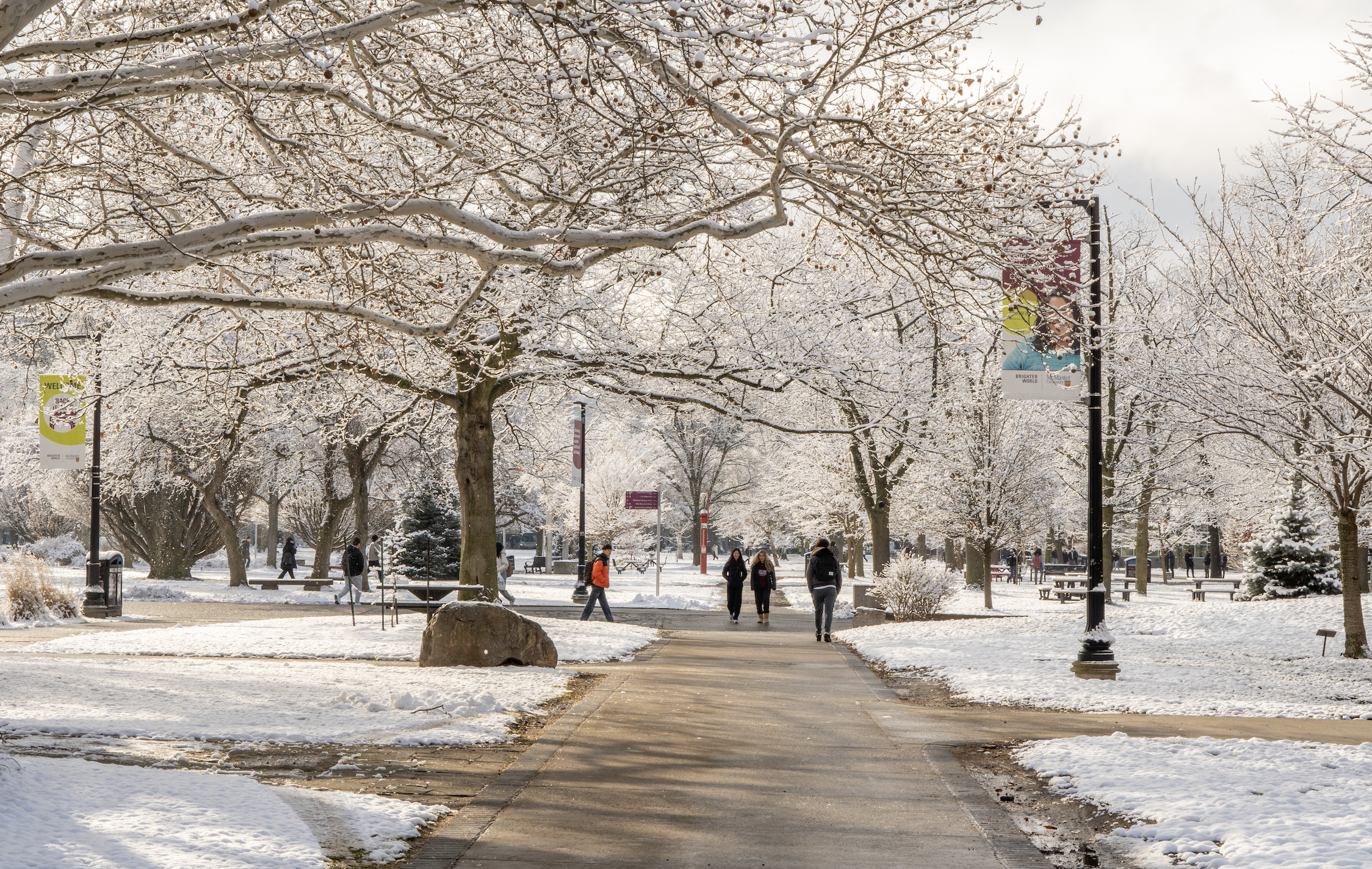 Decorative image of snowy day on McMaster Campus